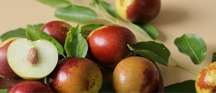 Τζίτζιφα – Το πανάρχαιο υπερ φρούτο